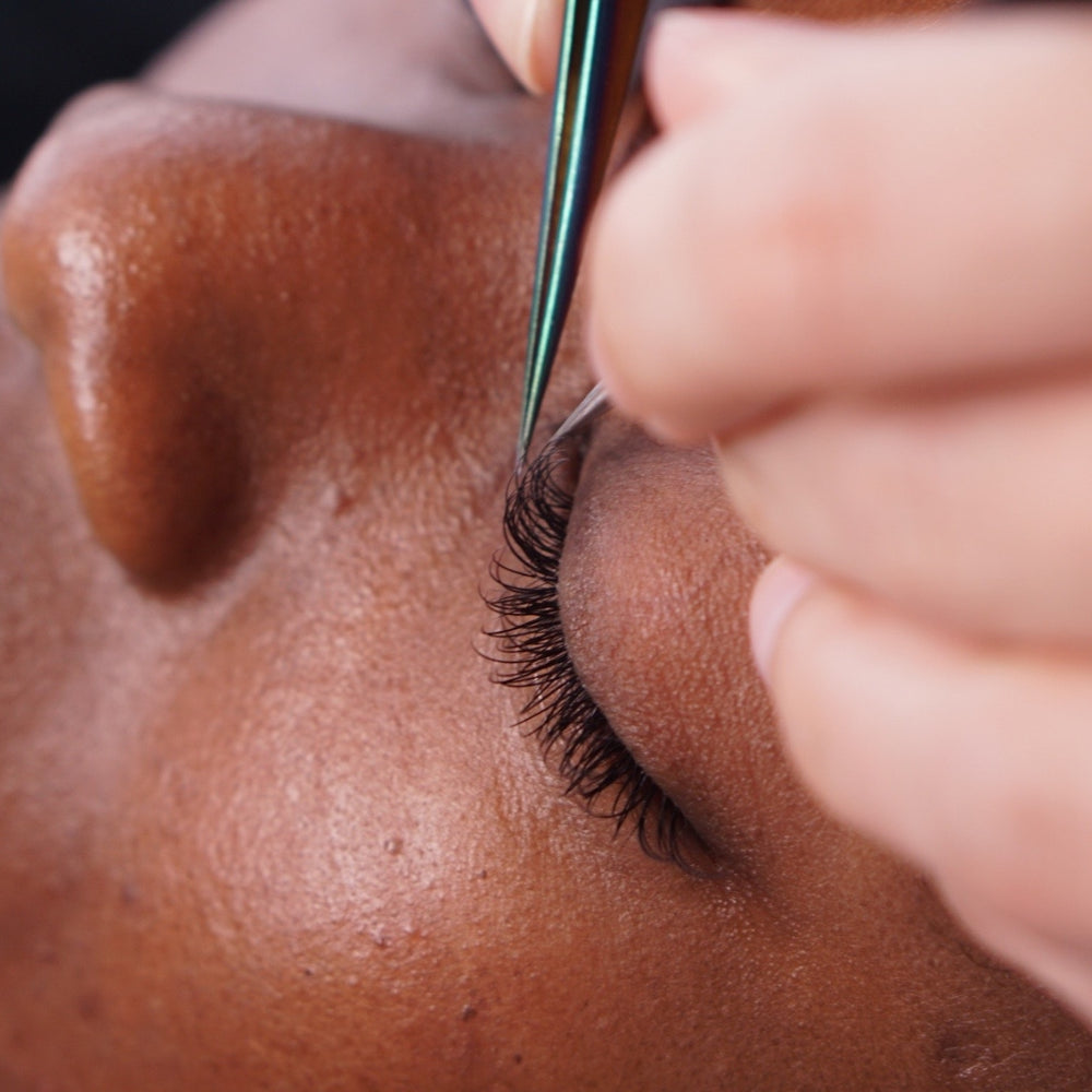Beginner Lash Artist Training Jan 23-24